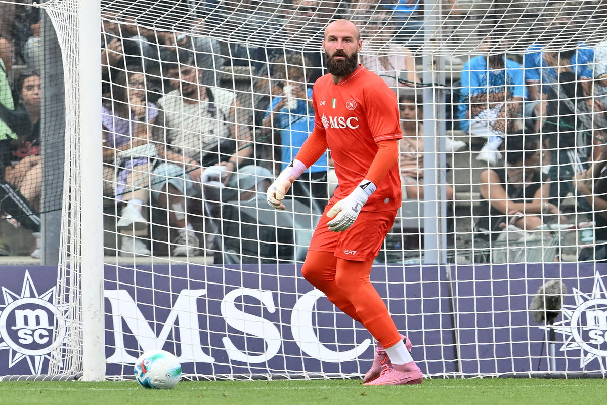 Milinkovic Savic